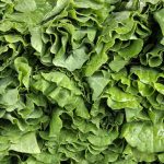 collard greens